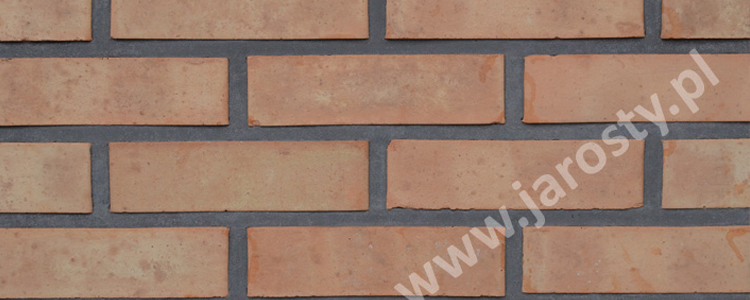 تواجه مواقد الفحم من الطوب المجوف واجهة تهوية الصرف الصحي المصنعة في بولندا